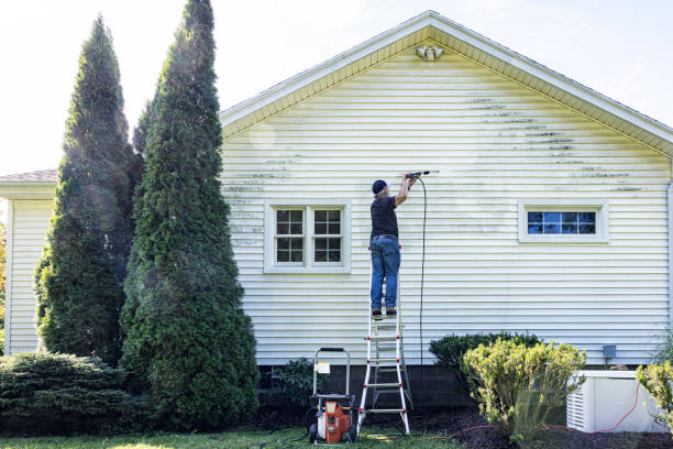 Best Exterior Home Cleaning  in Riverdale, IL