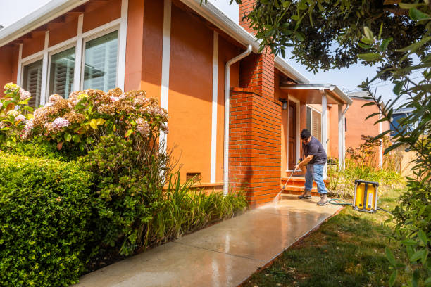 Best Pressure Washing Driveway  in Riverdale, IL