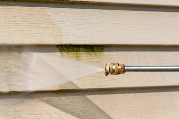 Deck Cleaning Services in Riverdale, IL