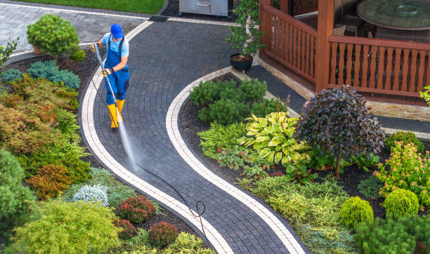 Best Roof Pressure Washing  in Riverdale, IL